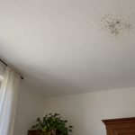 Piccola zona di muffa sul soffitto bianco di una stanza, osservata dal basso vicino a una finestra