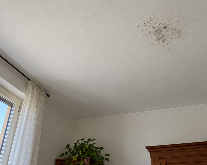 Piccola zona di muffa sul soffitto bianco di una stanza, osservata dal basso vicino a una finestra