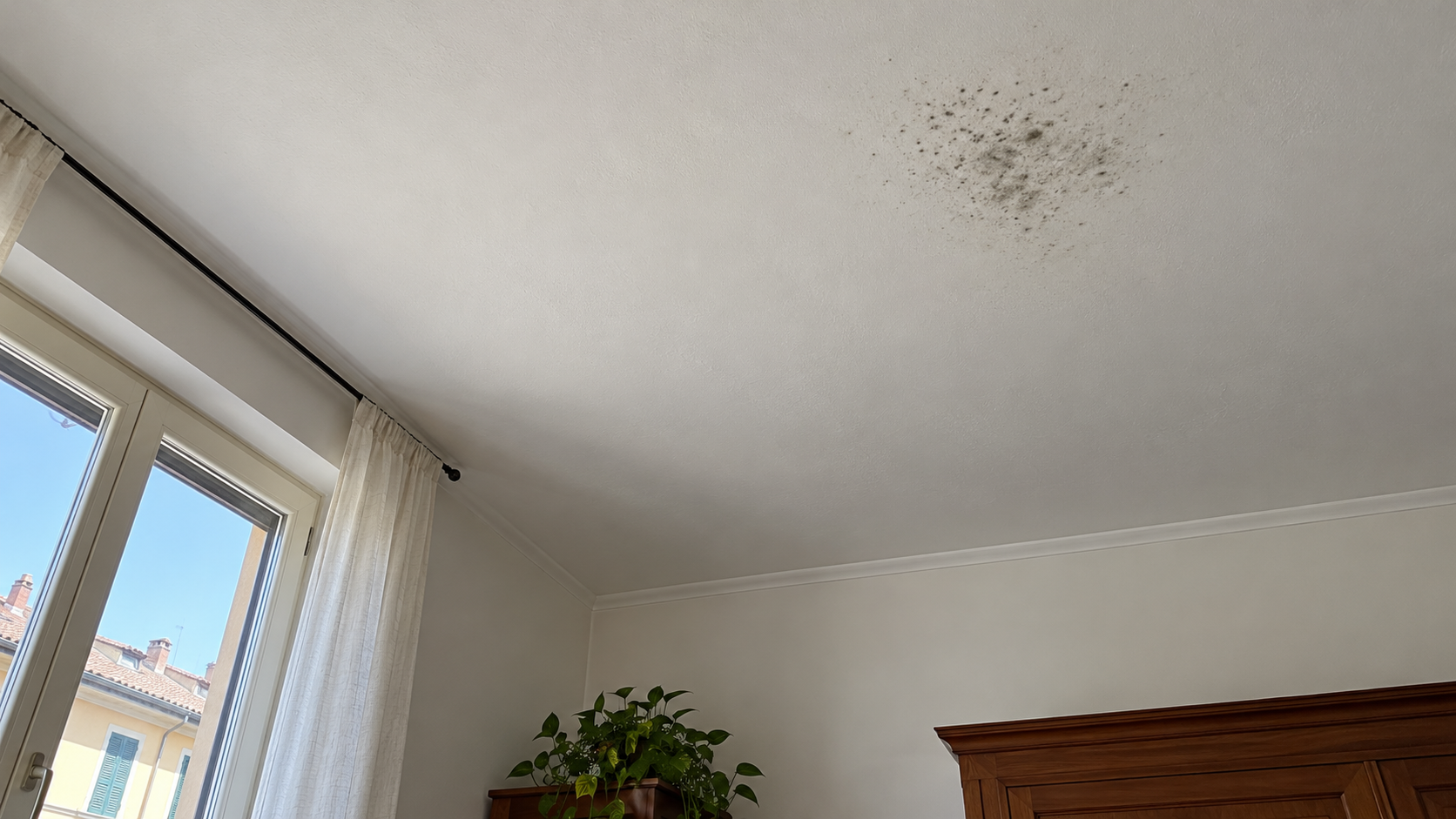 Piccola zona di muffa sul soffitto bianco di una stanza, osservata dal basso vicino a una finestra